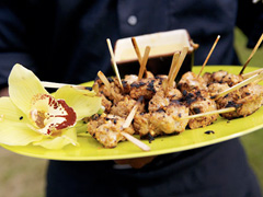 Organic Chicken Skewers