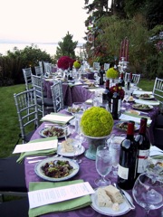 50th Birthday Party overlooking Puget Sound