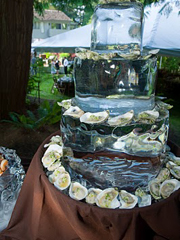 Oysters on ice