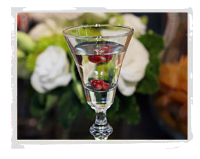 Lavish, the bar services arm of Ravishing Radish Catering